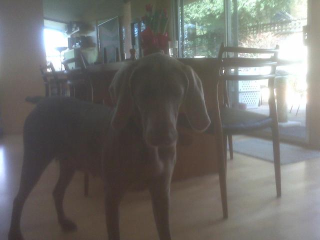 Sadie fr Auburn2